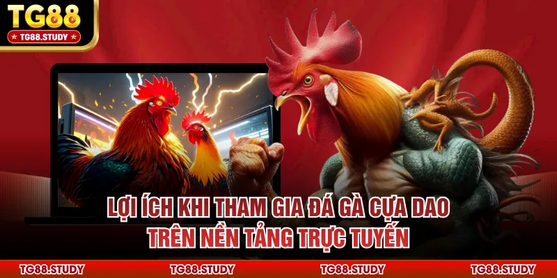 Lợi ích khi tham gia đá gà cựa dao trên nền tảng trực tuyến